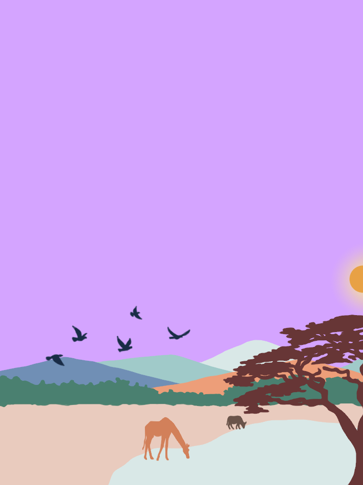 Raro - Ethiopia